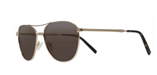 Buy online SHR 309 S    Gold (2) Polar Brown   sunglasses from Casey Optical too