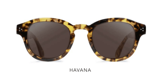 Buy online SHR 349S    Havana (01) Polar Brown   sunglasses from Casey Optical too